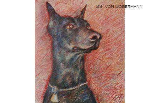 23. Von Dobermann