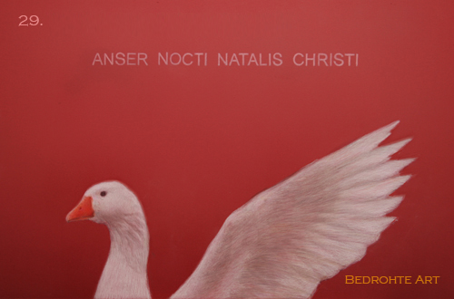 28. Accipiter Soloenis